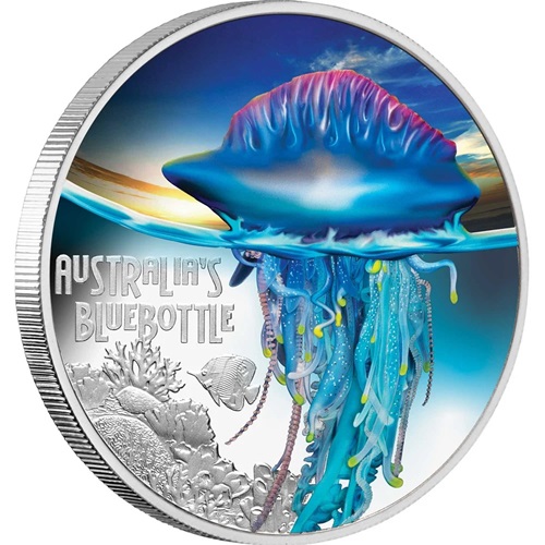 Dollar 2024 Tuvalu PROOF farbená 1 Oz Ag, Australia's Bluebottle