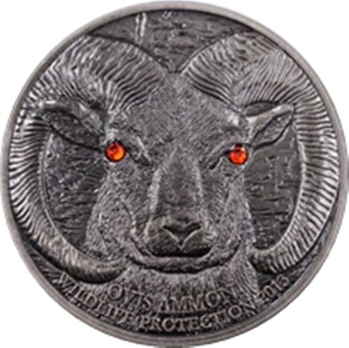 Medaila, replika mince 500 Tugrik 2013 Mongolsko BU Ovis ammon