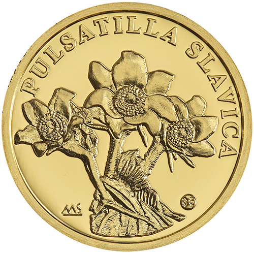 10 Dollars 2021 Niue PROOF 1/10 Oz Au Poniklec slovenský (522831)