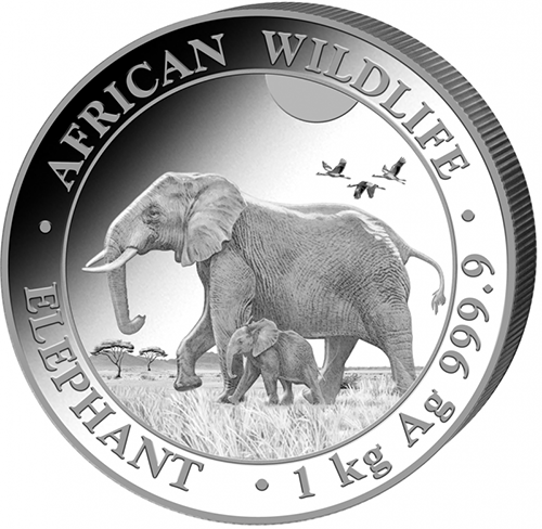2000 Shillings 2022 Somálsko BU 1 kg Ag Elephant