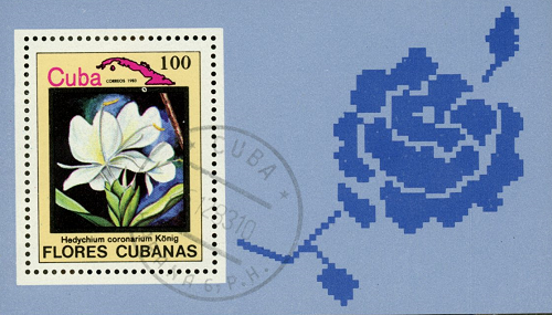 Hárček 1983 Kuba pečiatkovaný, Biely zázvor (Hedychium coronarium)