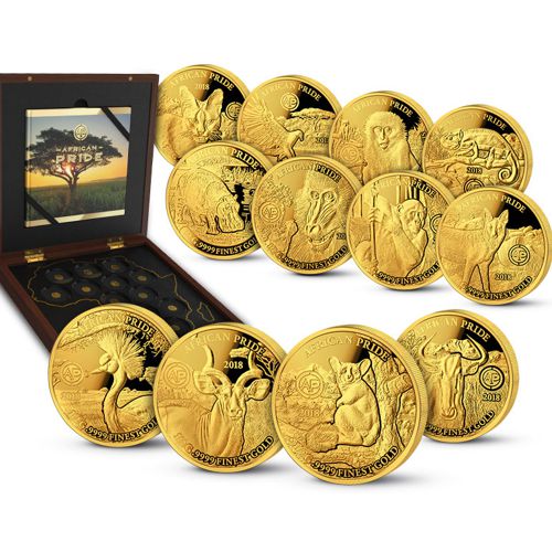 Sada zlatých mincí 2018 PROOF African Pride 12 x 1/2 g