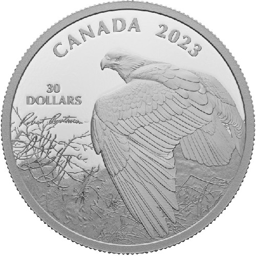 30 Dollars 2023 Kanada PROOF 2 Oz Ag Bald Eagle