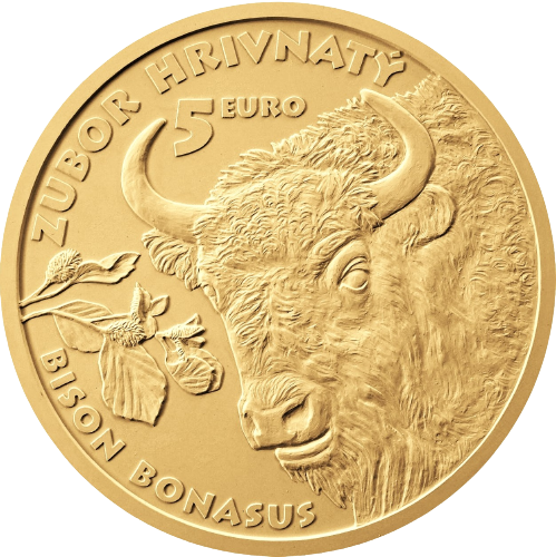 5 euro 2024 Slovensko BK, Zubor Hrivnatý