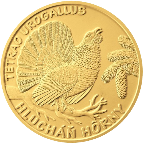 5 euro 2024 Slovensko BK, Hlucháň Hôrny