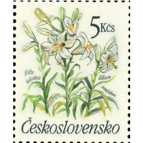 Známka 1990 Československo čistá, Lilie bělostná (Lilium candidum)