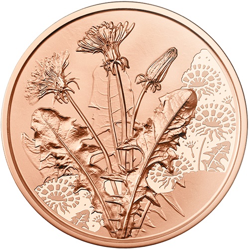 10 euro 2022 Rakúsko cc.UNC, Púpava