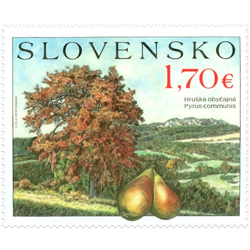 Známka 2019 Slovensko čistá, Ovocné stromy - hruška obyčajná (697)