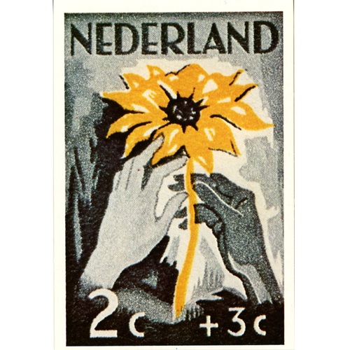 Pohľadnica 1980 Holandsko čistá, Červený kríž (2+3 C)