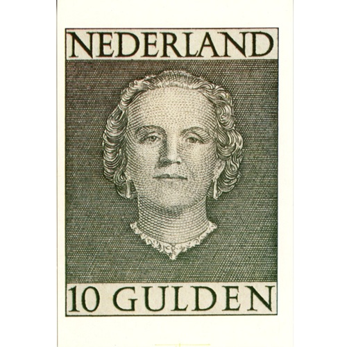 Pohľadnica 1980 Holandsko čistá, Kráľovná Juliana - Gulden (10G) sivá