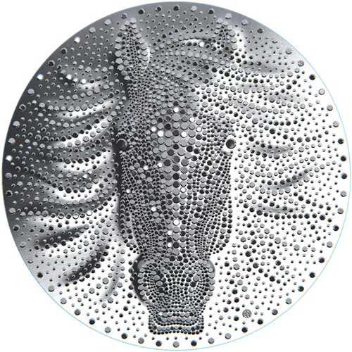 5 Dollars 2026 Niue PROOF like 2 Oz Ag, Year of the Horse